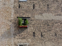fenster.jpg